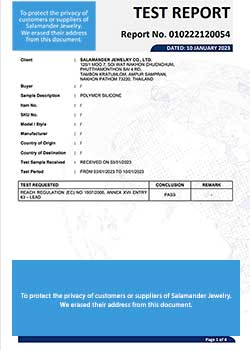 POLYMER SILICONE (2023-01-10)